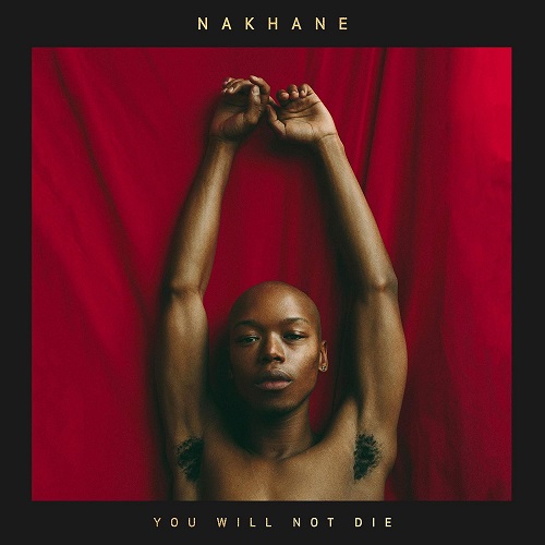 (Bild für) Nakhane - You Will Not Die (plus cd) - zum Schließen ins Bild klicken